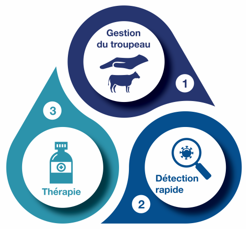 Approche integrée de santé du pis Santé du pis - Approche integrée